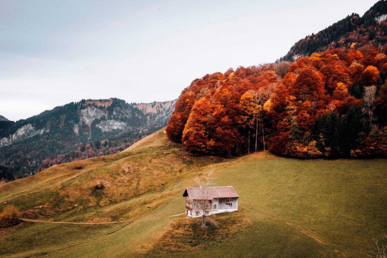 Apartment Waldblick Mellau Dış mekan fotoğraf